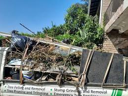 Best Garage Cleanout  in Nevada, IA